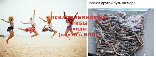 ПСИЛОЦИБИНОВЫЕ ГРИБЫ Алзамай