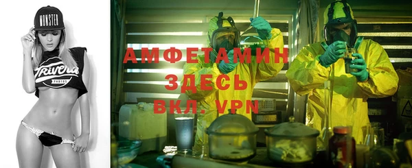 ПСИЛОЦИБИНОВЫЕ ГРИБЫ Алзамай